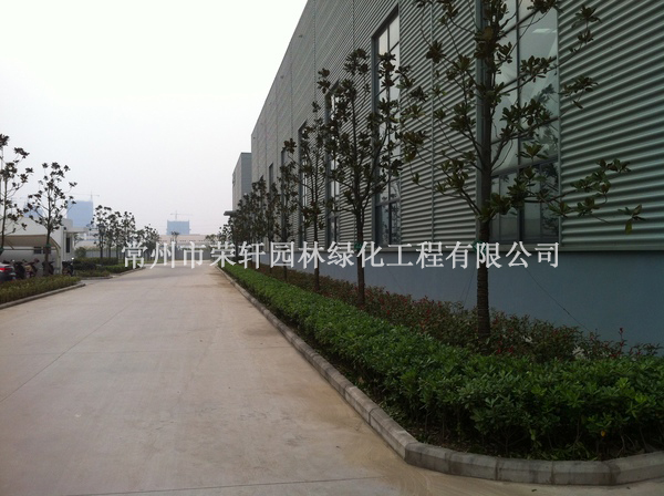 中興西田施工6個月