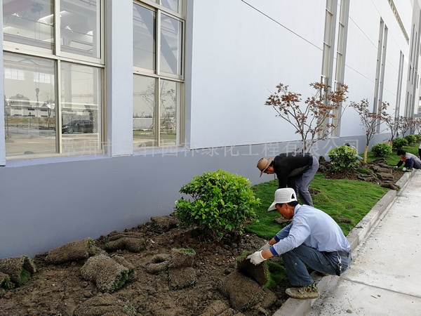 常州新馬干燥施工