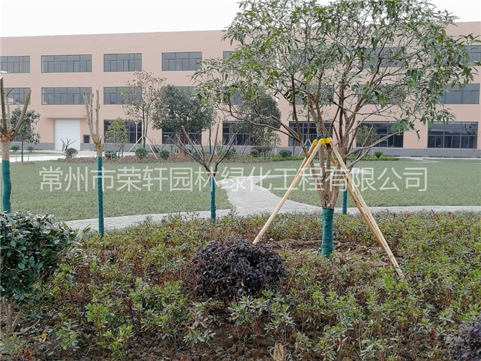 常州西瑪特電器養(yǎng)護(hù)