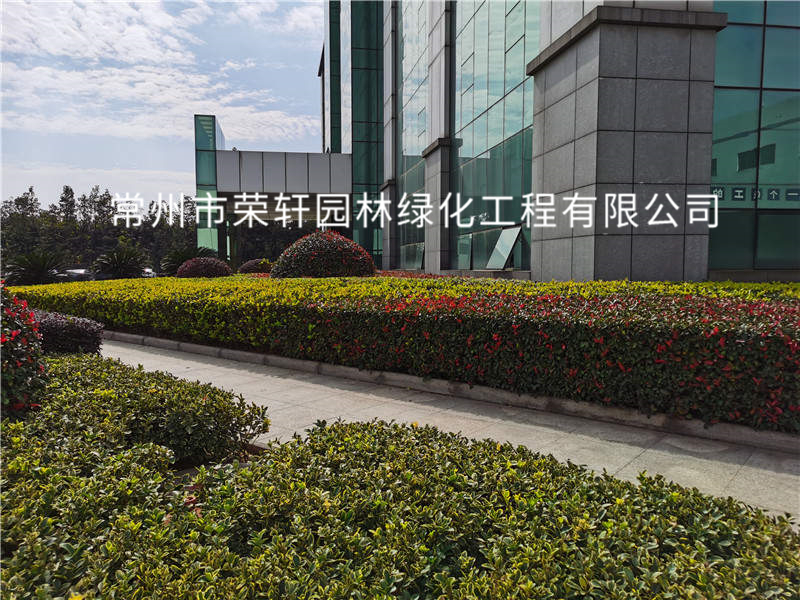 順風光電養(yǎng)護