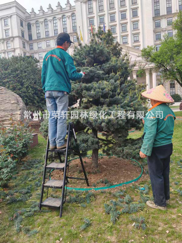 國(guó)茂減速機(jī)集團(tuán)有限公司