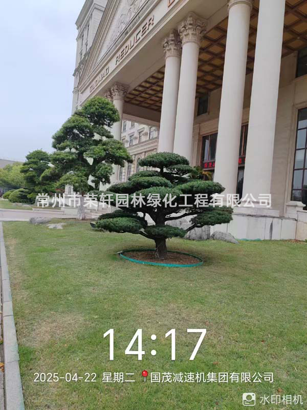 國(guó)茂減速機(jī)集團(tuán)有限公司