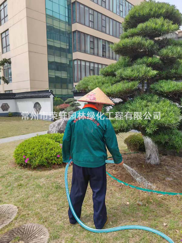 國(guó)茂減速機(jī)集團(tuán)有限公司